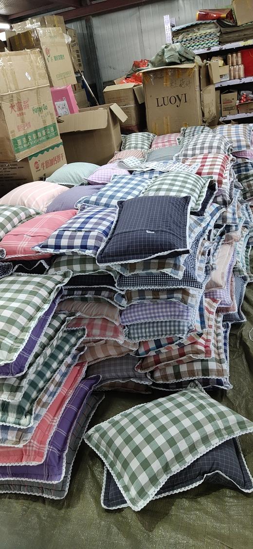 【百汇到家】水洗棉小米壳枕头 商品图1