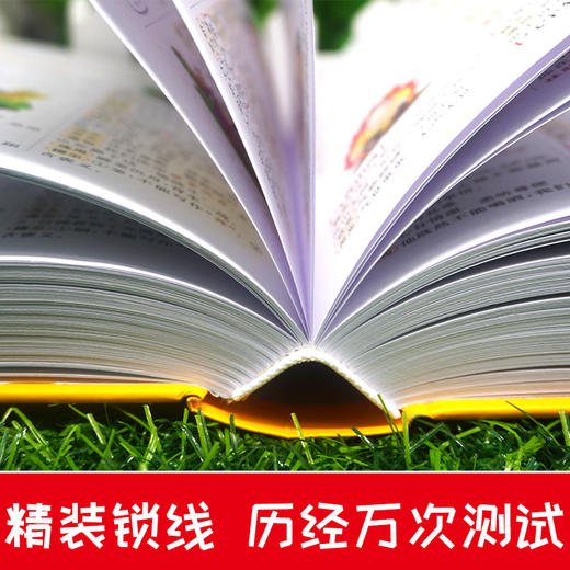 【开心图书】彩图版小学生多功能成语词典 商品图4