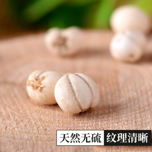 【野生贝母】 正宗四川松潘野生川贝20g装 商品图1