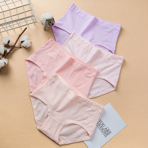 （一盒两条）60支精梳棉彩纱大版高腰蕾丝收腹女士净色大版内裤2871/2881/92881/12863 商品图3