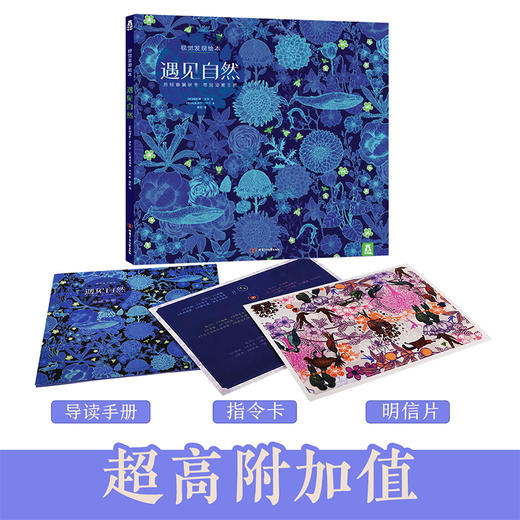 新书预售 遇见自然视觉发现绘本 3-6岁 精装游戏探索提升专注力 商品图3