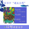 新书预售 遇见自然视觉发现绘本 3-6岁 精装游戏探索提升专注力 商品缩略图4