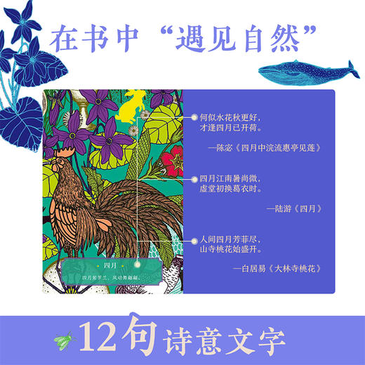 新书预售 遇见自然视觉发现绘本 3-6岁 精装游戏探索提升专注力 商品图4