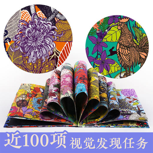 新书预售 遇见自然视觉发现绘本 3-6岁 精装游戏探索提升专注力 商品图1