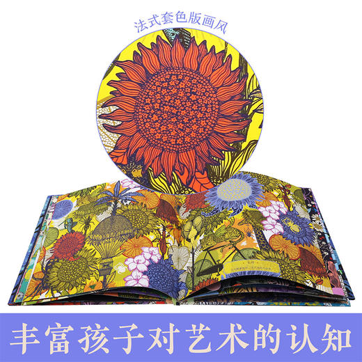 新书预售 遇见自然视觉发现绘本 3-6岁 精装游戏探索提升专注力 商品图2