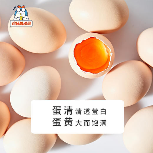 鸡仔总动员&鲜鸡蛋    40枚 商品图2