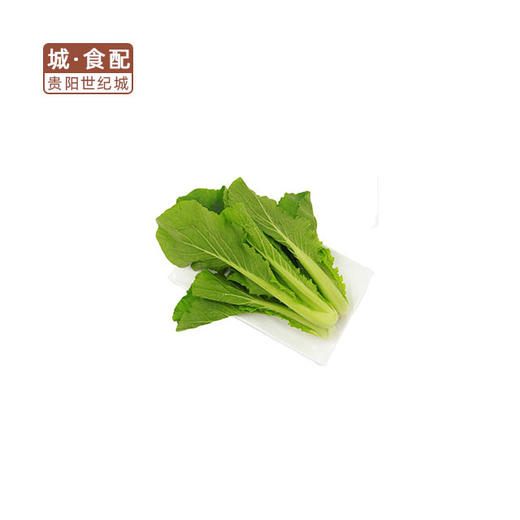 大白菜   约1.5kg/颗【GYZH】 商品图0