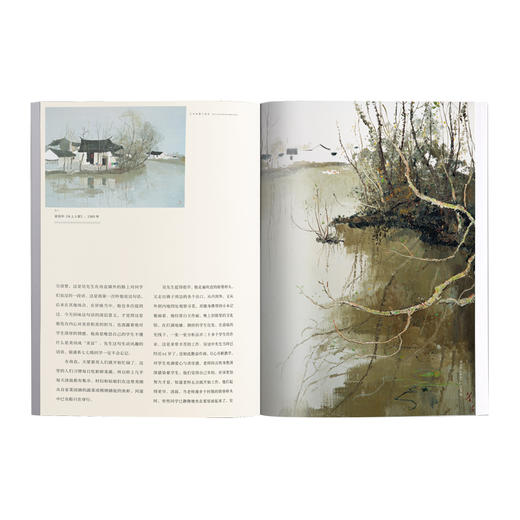 《冠中先生》艺术鉴赏与收藏 第10期 写生色彩理论 中西融合 湖南美术出版社旗舰店 商品图2