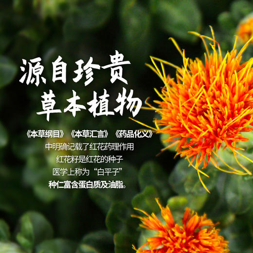 一级冷榨红花籽油 78%亚油酸 出口品质