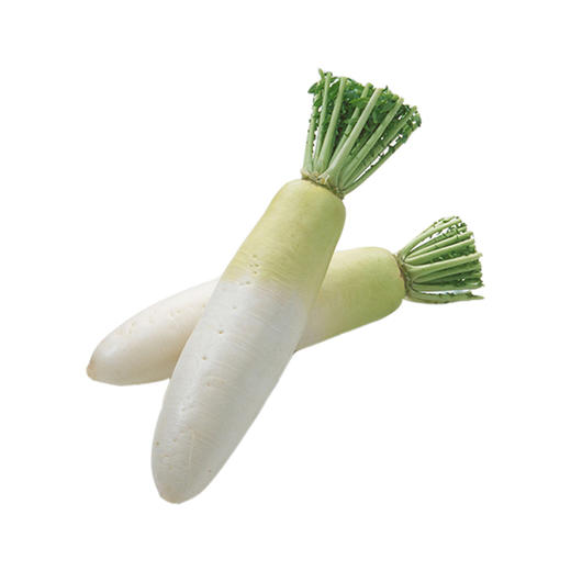 有机白萝卜 1kg/箱（有机蔬菜、中国有机认证） 商品图0