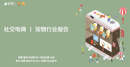 宠物行业社交电商报告 商品图0