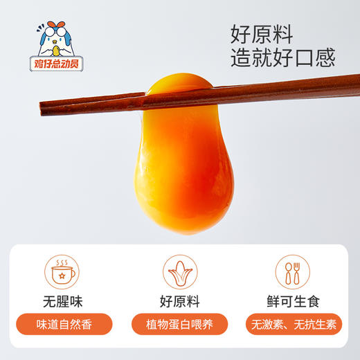 鸡仔总动员&鲜鸡蛋    40枚 商品图1