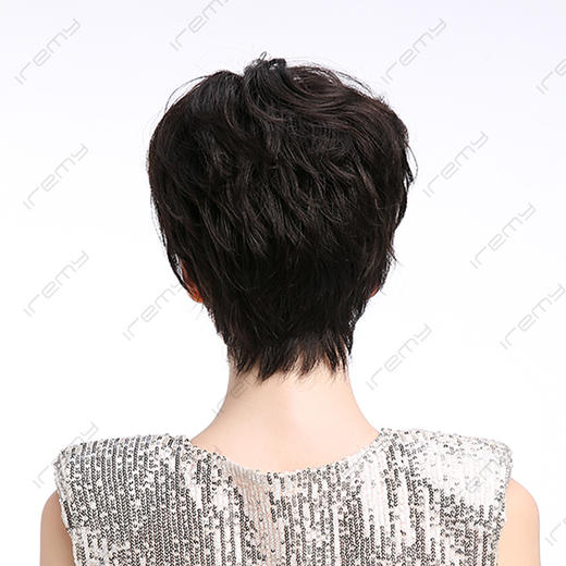 RGH-S20100MN 商品图3