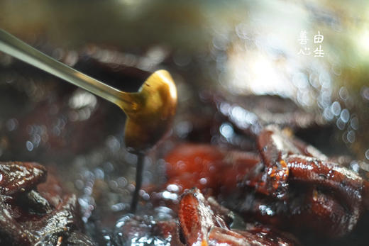 善由心生/卤香鸭 商品图0