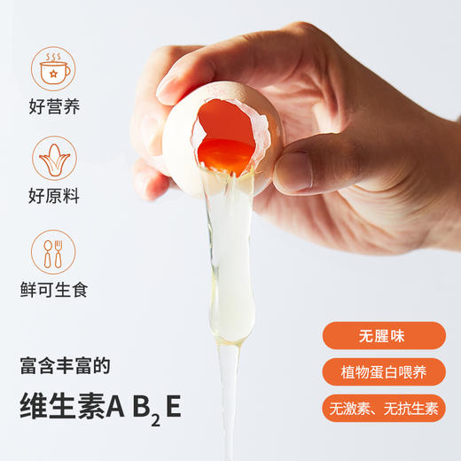 鸡仔总动员元气蛋 新鲜生鸡蛋谷物喂养 30枚/盒 商品图1