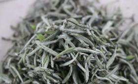 白毫银针为何千金不换？