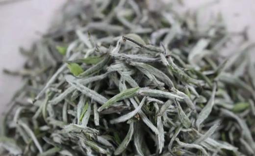 白毫银针为何千金不换？ 商品图0