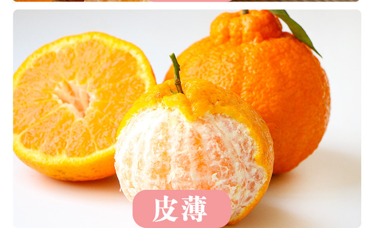 丑柑详情3_10.jpg