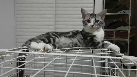 七天无理由 商品图0