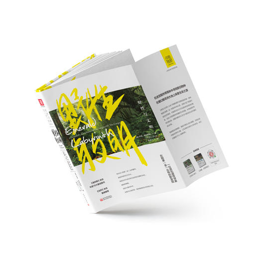 野性与文明：一位进化遗传学家在刚果（金）丛林的新发现 商品图2