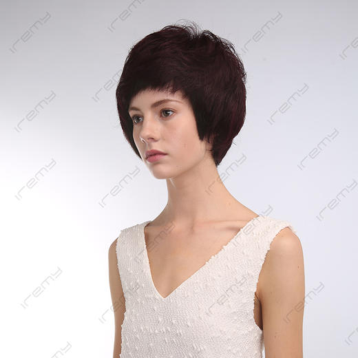 RPH-S8109HQ 商品图2