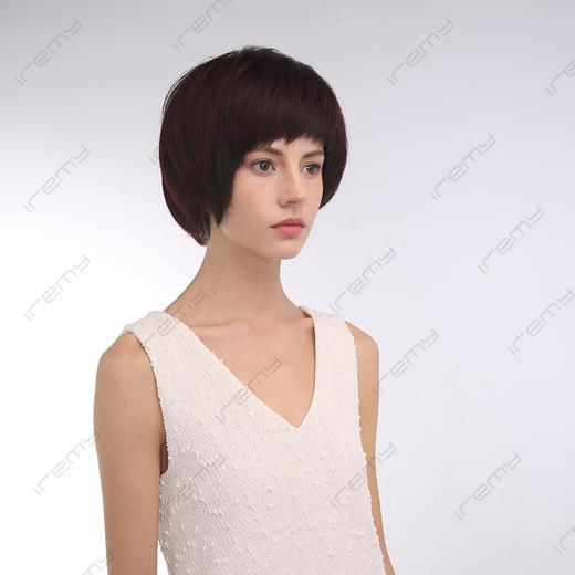 RPH-S8113HQ 商品图1