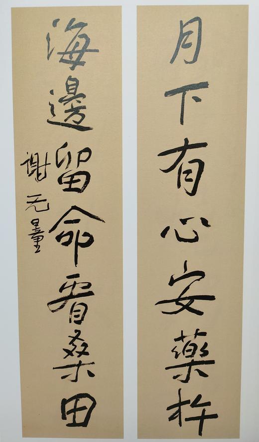 谢无量精品集 正版图书，折扣销售中....八开精装  河北美术出版社 商品图2