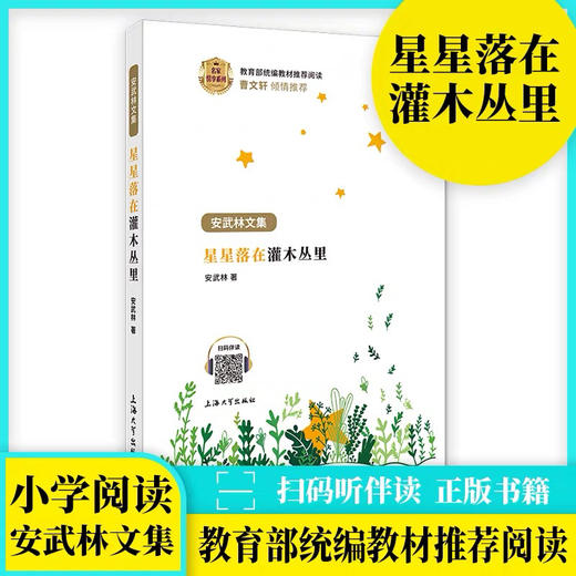 安武林：星星落在灌木丛里 商品图0