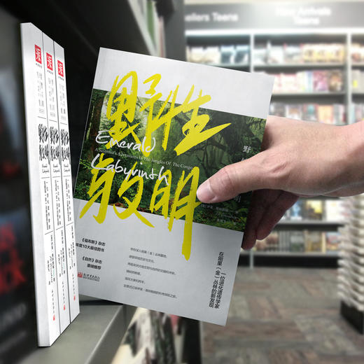 野性与文明：一位进化遗传学家在刚果（金）丛林的新发现 商品图4