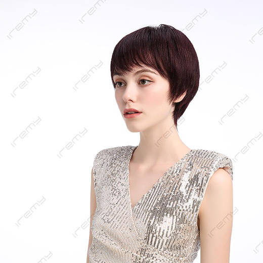 RGH-S20105HQ 商品图2