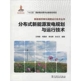 分布式新能源发电规划与运行技术