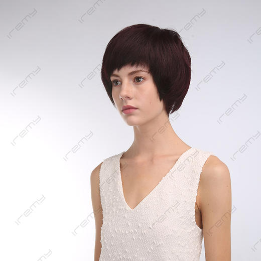 RPH-S8113HQ 商品图2