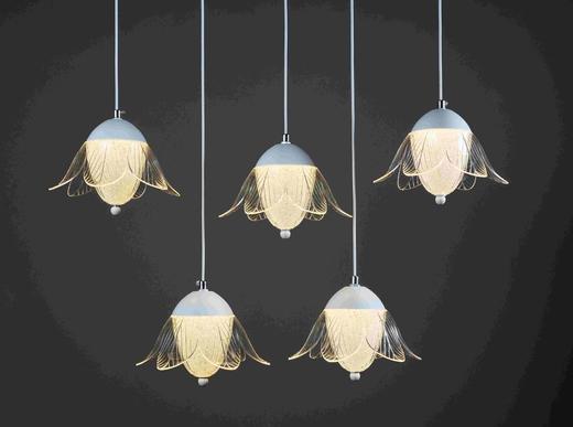 玉兰花朵吊灯【运费自理】 商品图1