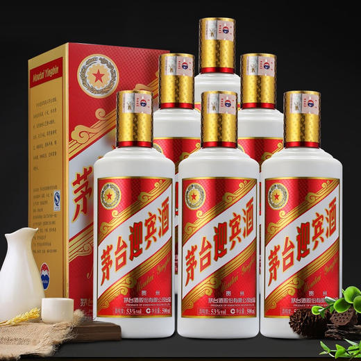 53度茅台迎宾酒2013款包装（2017年份）500ml 商品图1