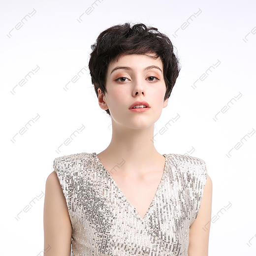 RPH-S20011HQ 商品图1