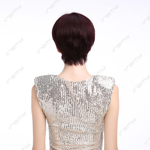 RGH-S20111HB 商品图3