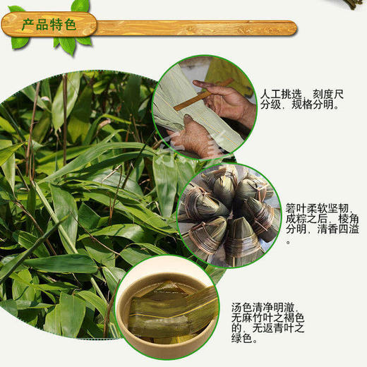 端午节野生粽子叶带绳（大概22-24片） 商品图3