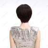 RPH-S20008HQ 商品缩略图3