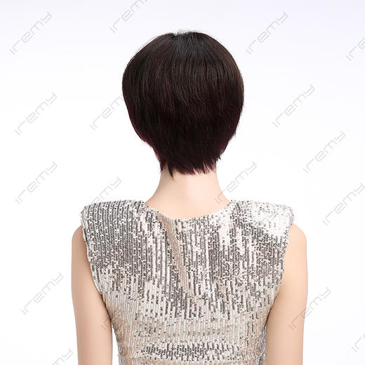 RPH-S20008HQ 商品图3