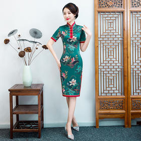 CX-春季新款修身显瘦旗袍连衣裙五排珠立领时尚改良旗袍