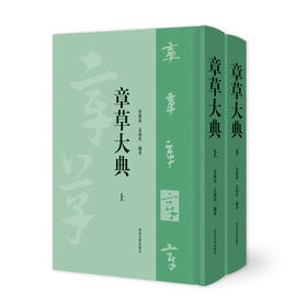 官方正版 章草大典 全2册 章草书法字典工具书 检字表书籍 笔画索引和汉语拼音索引选自历代章草字帖碑帖精选章草书法篆刻的书籍——河南美术出版社
