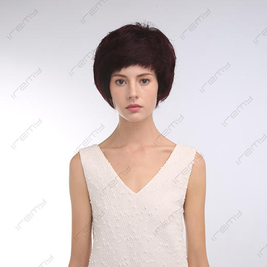 RPH-S8109HQ 商品图0