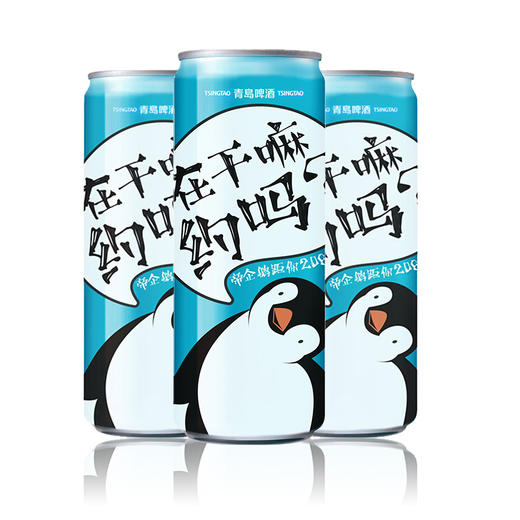 青岛啤酒经典（1903极地）10度330ml*6纤体罐/箱 商品图1