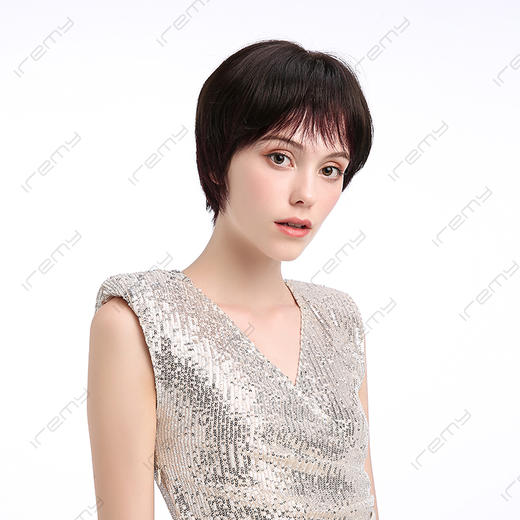 RPH-S20008HQ 商品图1