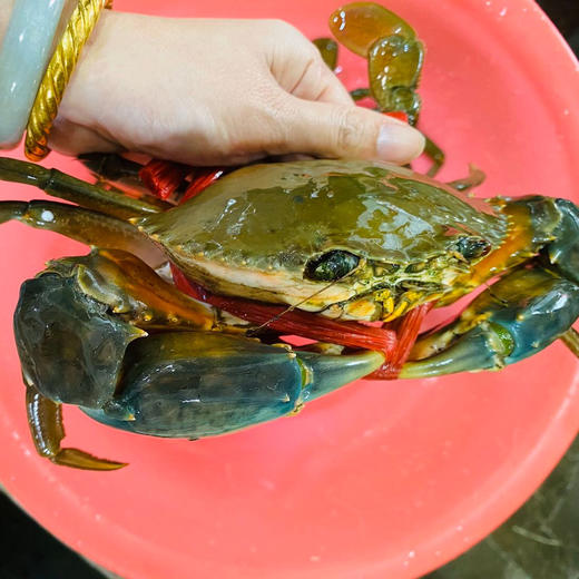 海鲜精选东山海鲜61野生菜鲟顺丰冷链到家肉质饱满喜欢蟹肉多多的约