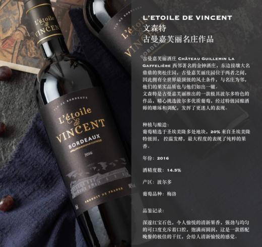 L'ETOILE DE VINCENT 文森特 商品图0