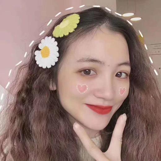 网红雏菊鸭卡胸针 商品图2