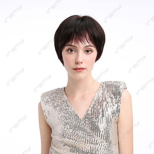 RPH-S20008HQ 商品图0