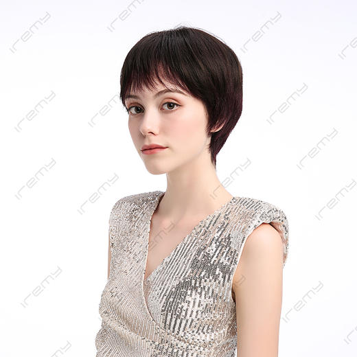 RPH-S20008HQ 商品图2