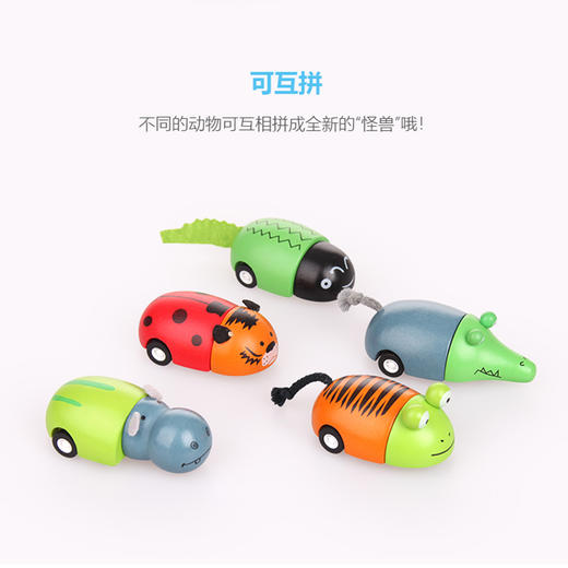 UDEAS品牌木制玩具-回力飞机、拼装回力动物 商品图4